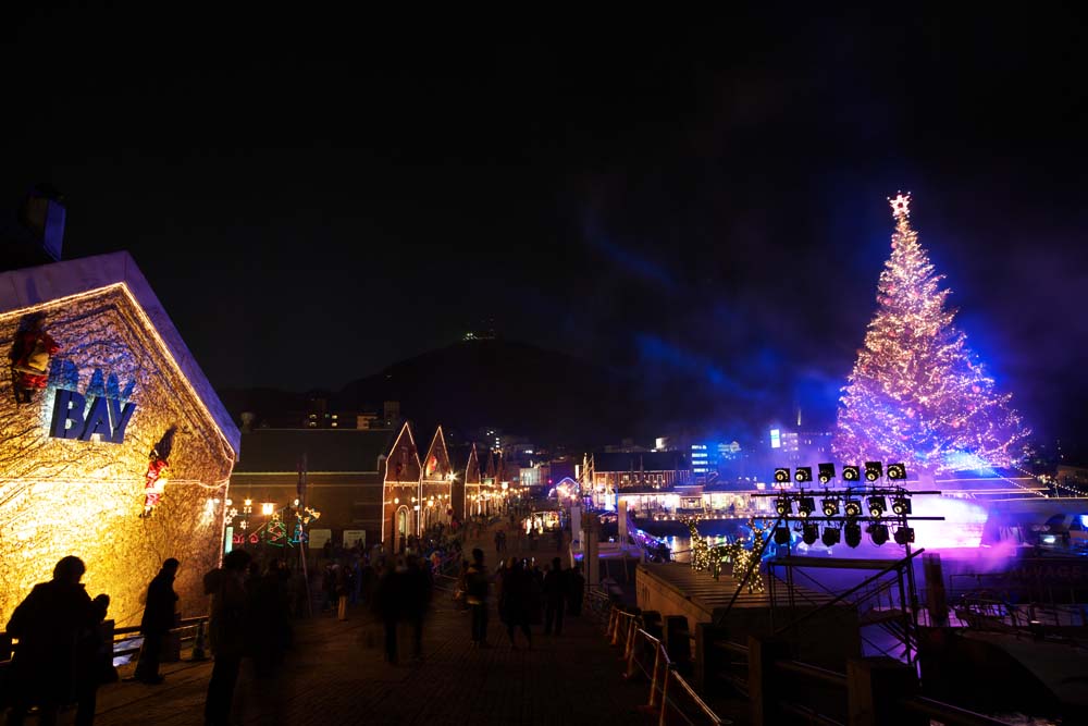 Foto, materieel, vrij, landschap, schilderstuk, bevoorraden foto,Kerst van een rode baksteen magazijn, Rode baksteen, Magazijn, De geschiedenis, Poort