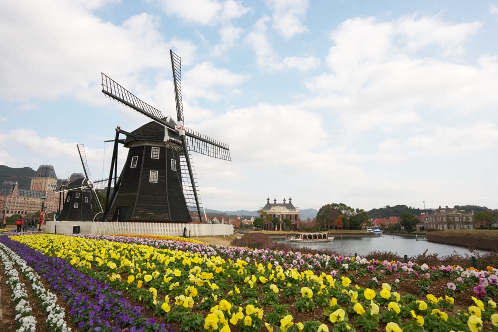 foto,tela,gratis,paisaje,fotografa,idea,Un jardn de flores y un molino de viento, Nube, Canal, El Pases Bajos, Molino de viento