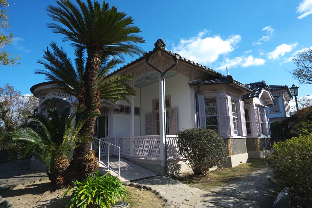 photo,material,free,landscape,picture,stock photo,Creative Commons,Old Walker house, Western-style building, house, window, Cycad