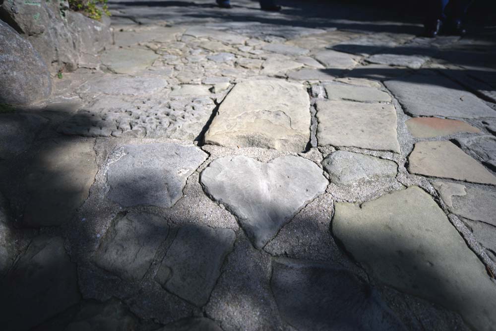 fotografia, materiale, libero il panorama, dipinga, fotografia di scorta,Una pavimentazione di pietra di cuore, prenda a sassate pavimentazione, pietra, marchio di cuore, Felicit