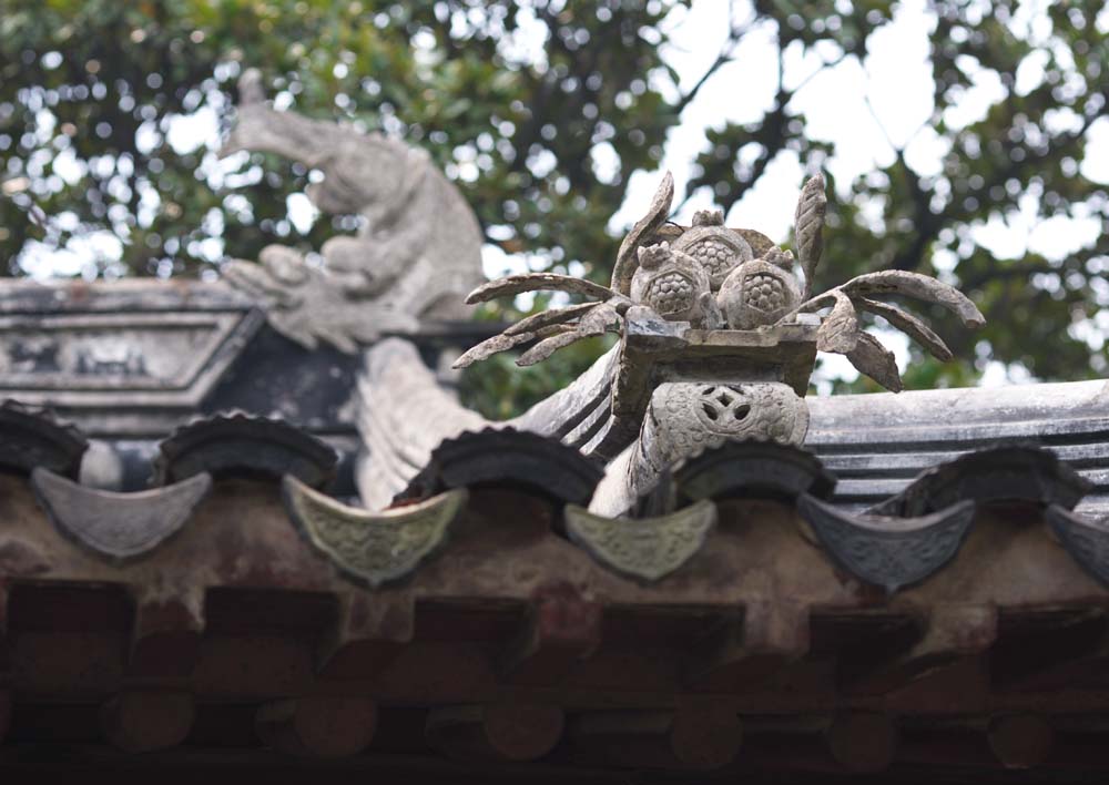 Foto, materieel, vrij, landschap, schilderstuk, bevoorraden foto,Een dak decoratie van Enkodo van Zhuozhengyuan, Tichel, Dak, Wereld heritage, Tuin