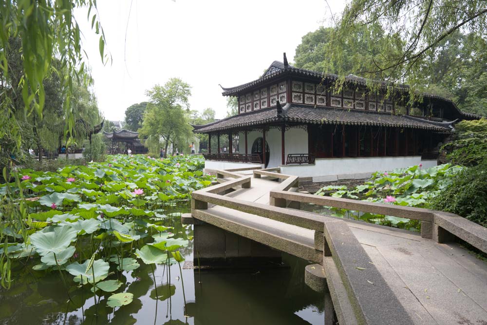 Foto, materieel, vrij, landschap, schilderstuk, bevoorraden foto,Miyama rijzen van Zhuozhengyuan uit, Architectuur, Brug, Hasuike, Tuin