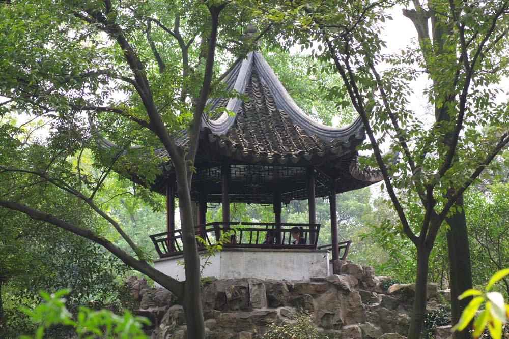 photo, la matire, libre, amnage, dcrivez, photo de la rserve,L'architecture de Zhuozhengyuan, Architecture, vue, arbre, jardin