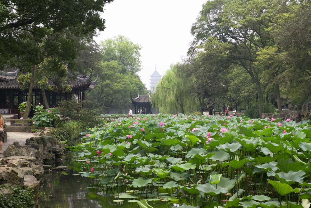 Foto, materieel, vrij, landschap, schilderstuk, bevoorraden foto,Zhuozhengyuan, Waterplas, Lotus, , Tuin