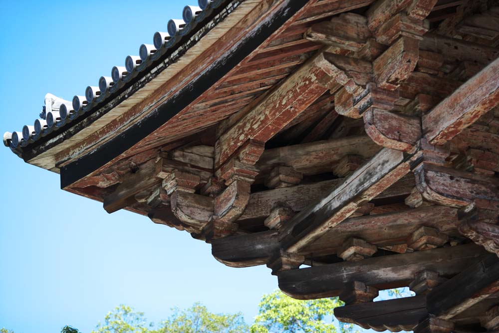 Foto, materiell, befreit, Landschaft, Bild, hat Foto auf Lager,Ich berquere den Baum von Nandaimon Higashiooji, Das Tor, hlzernes Gebude, Buddhismus, Tempel