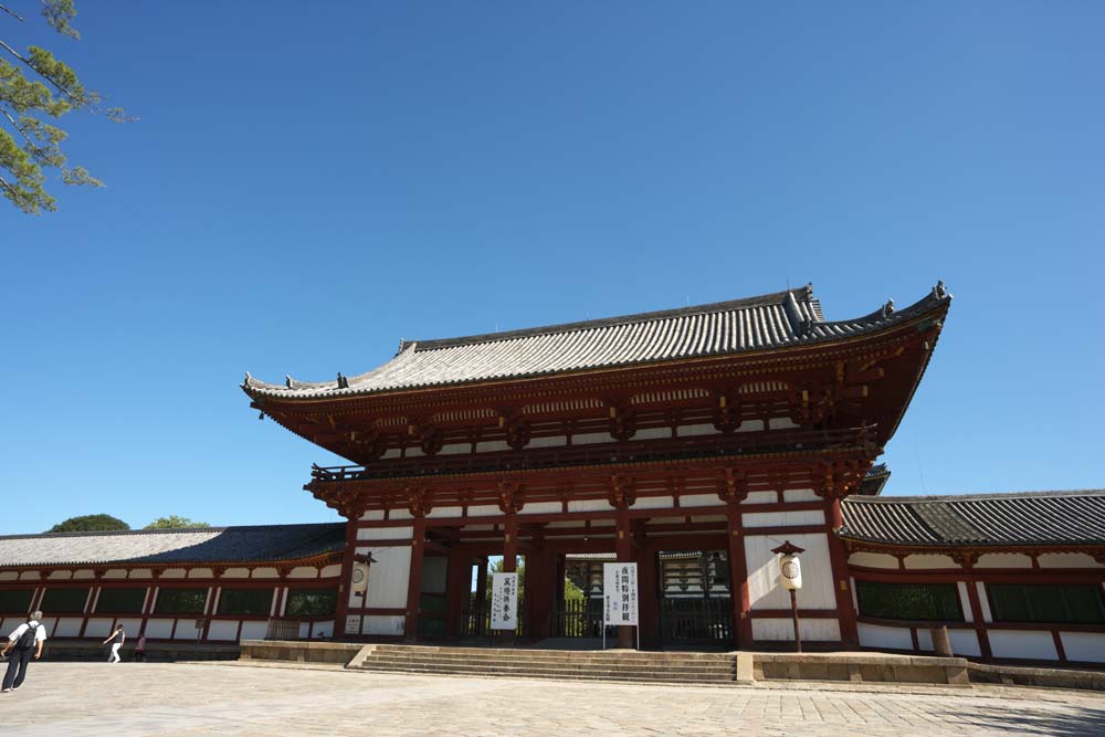 foto,tela,gratis,paisaje,fotografa,idea,Todai - puerta de Temple de ji construir entre la puerta principal y la casa principal del palacio - la arquitectura diseada en el punto de Fujiwara, La puerta, Edificio de madera, Buddhism, Templo