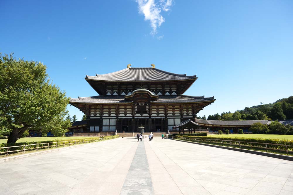 photo, la matire, libre, amnage, dcrivez, photo de la rserve,Le couloir de temple Todai-ji du grand Bouddha, grande statue de Bouddha, btiment en bois, Bouddhisme, temple