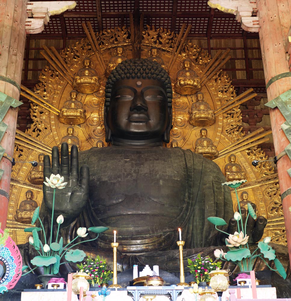 fotografia, material, livra, ajardine, imagine, proveja fotografia,Uma grande esttua de Buda de Nara, Bronze, grande esttua de Buda, Budismo, Imagem budista