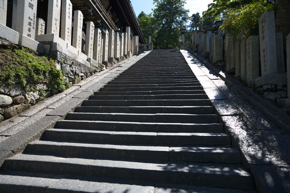 Foto, materiell, befreit, Landschaft, Bild, hat Foto auf Lager,Die Steintreppe von Nigatsu-machen Sie Hall, steinigen Sie Treppe, Die Sonne, , Treppe