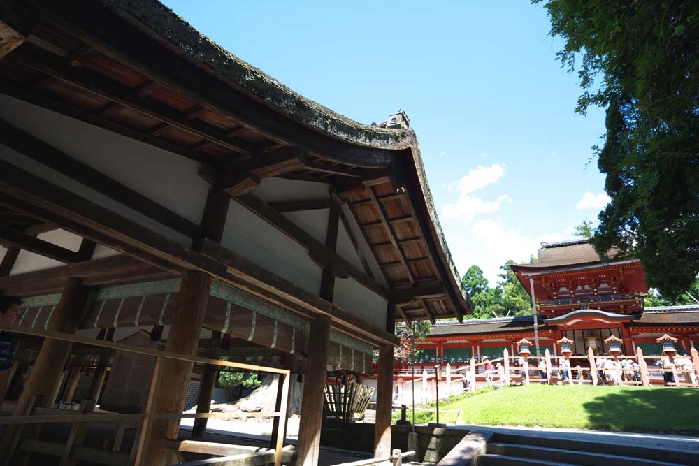 photo,material,free,landscape,picture,stock photo,Creative Commons,Kasuga Taisha Shrine, Shinto, Shinto shrine, I am painted in red, roof