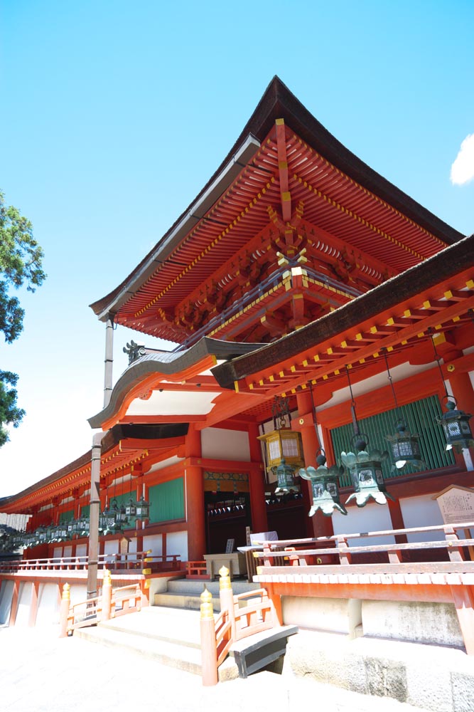 fotografia, materiale, libero il panorama, dipinga, fotografia di scorta,Kasuga Taisha il sacrario, Scintoismo, Sacrario scintoista, Io sono dipinto in rosso, tetto