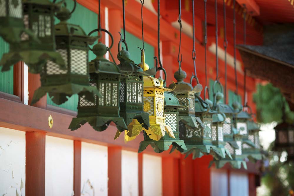 Foto, materiell, befreit, Landschaft, Bild, hat Foto auf Lager,Die Gartenlaterne des Kasuga Taisha Shrine, Schintoismus, Schintoistischer Schrein, Ich werde in roten gemalt, grtnern Sie Laterne