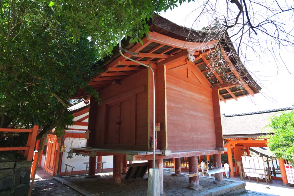 fotografia, material, livra, ajardine, imagine, proveja fotografia,Kasuga Taisha casa de tesouro de Santurio, Xintosmo, Santurio de Xintosmo, Um tipo de casa de sobre-cho, telhado