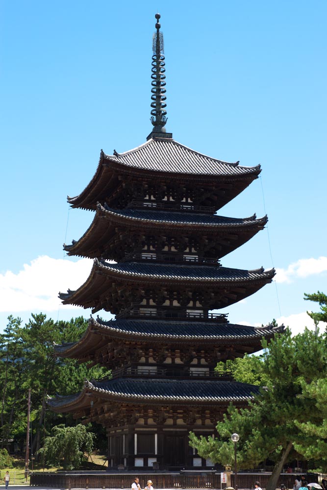 fotografia, materiale, libero il panorama, dipinga, fotografia di scorta,Tempio di Kofuku-ji cinque pagoda di Storeyed, Buddismo, edificio di legno, Cinque pagoda di Storeyed, eredit di mondo