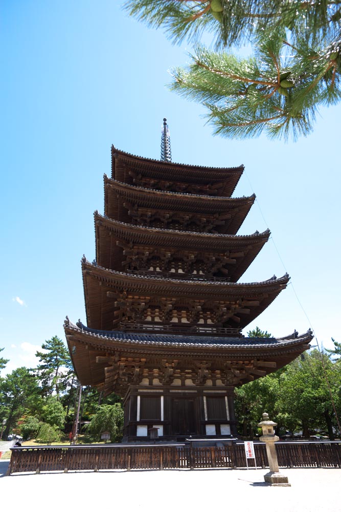 foto,tela,gratis,paisaje,fotografa,idea,Kofuku - ji templo cinco pagoda de Storeyed, Buddhism, Edificio de madera, Cinco pagoda de Storeyed, Herencia de mundo