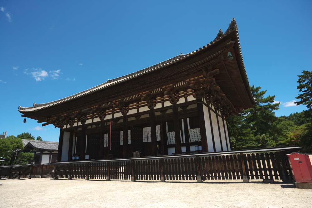 foto,tela,gratis,paisaje,fotografa,idea,Kofuku - Temple Togane templo de ji, Buddhism, Edificio de madera, Techo, Herencia de mundo