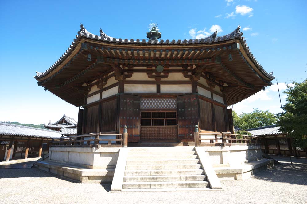 photo,material,free,landscape,picture,stock photo,Creative Commons,Horyu-ji Temple dream, Buddhism, Dream, 8 square shape, An inner temple