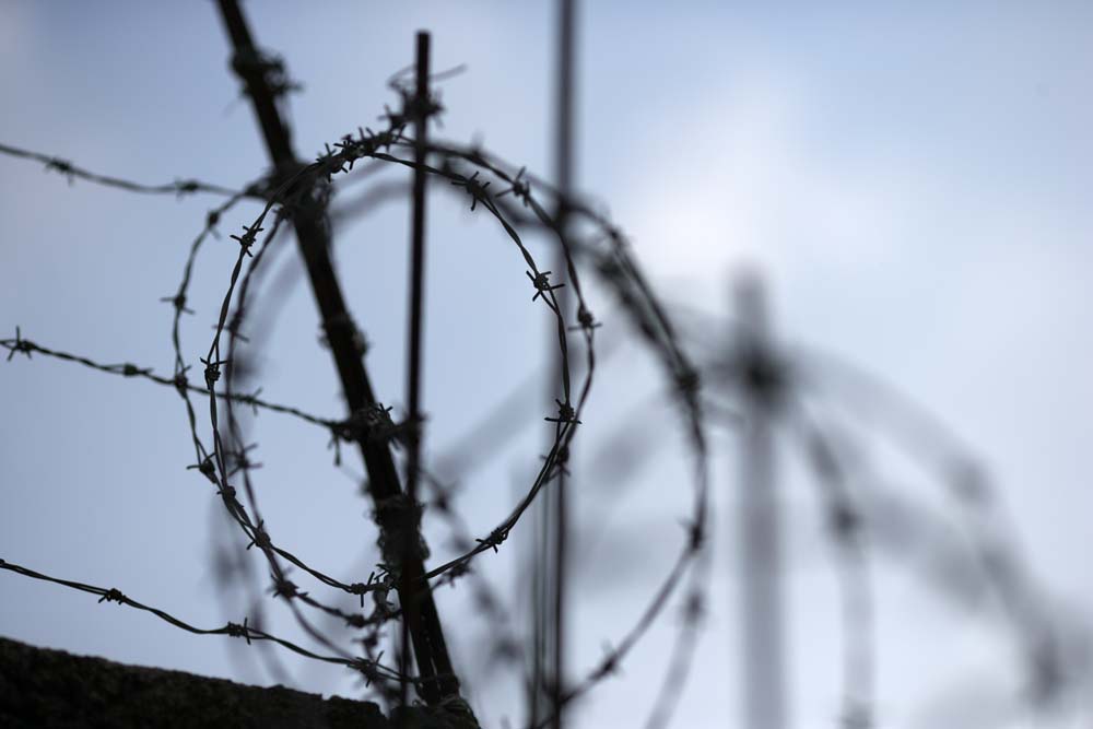 fotografia, materiale, libero il panorama, dipinga, fotografia di scorta,Rifiuto, Filo spinato, muro, gloria di mattina, tromba