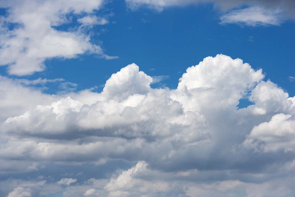 fotografia, materiale, libero il panorama, dipinga, fotografia di scorta,Una nube dell'estate, cielo blu, thunderhead, Di estate, Luce del sole