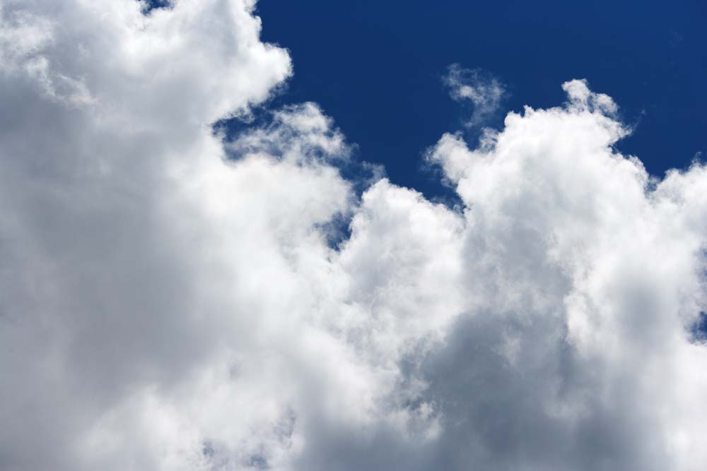 fotografia, material, livra, ajardine, imagine, proveja fotografia,Uma nuvem do vero, cu azul, thunderhead, Pelo vero, Luz solar