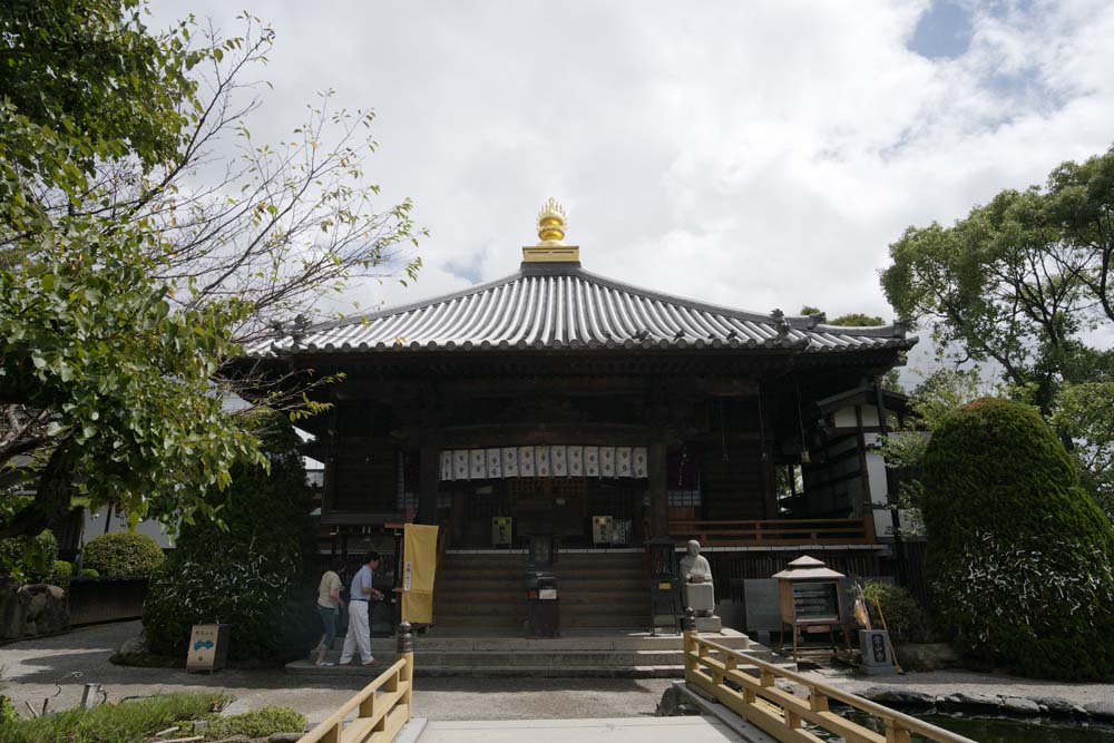 photo,material,free,landscape,picture,stock photo,Creative Commons,A sacred mountain temple Great Teacher temple, bridge, Buddhism, temple, wooden building