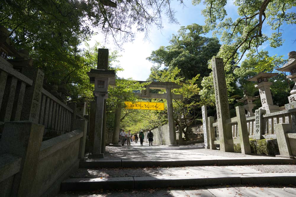 fotografia, materiale, libero il panorama, dipinga, fotografia di scorta,Kompira-san approccio di Sacrario ad un sacrario, Sacrario scintoista tempio buddista, torii, prenda a sassate scalinata, Scintoismo