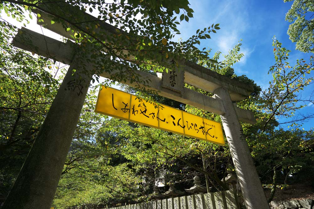 fotografia, material, livra, ajardine, imagine, proveja fotografia,Kompira-san torii de Santurio, Santurio de Xintosmo templo budista, torii, Religio, Xintosmo