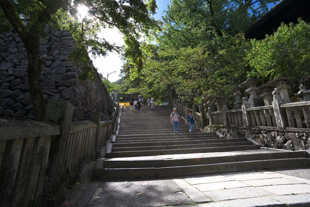 fotografia, material, livra, ajardine, imagine, proveja fotografia,Kompira-san aproximao de Santurio para um santurio, Santurio de Xintosmo templo budista, torii, apedreje escada, Xintosmo