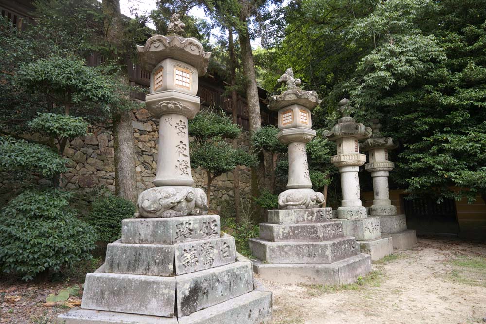 photo, la matire, libre, amnage, dcrivez, photo de la rserve,Kompira-san Temple panier de la lanterne de pierre, Temple shintoste temple bouddhiste, lanterne de jardin, , Shintosme