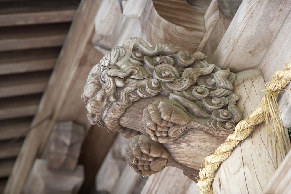 photo,material,free,landscape,picture,stock photo,Creative Commons,Kompira-san Shrine lion sculpture, Shinto shrine Buddhist temple, company, lion, Shinto