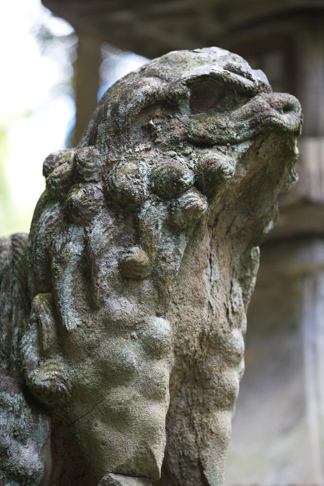 Foto, materiell, befreit, Landschaft, Bild, hat Foto auf Lager,Kompira-san Schreinpaar von Steinhterhunden, Schintoistischer Schrein Buddhistischer Tempel, Paar von Steinhterhunden, hchst Hund, Schintoismus