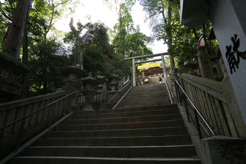 Foto, materiell, befreit, Landschaft, Bild, hat Foto auf Lager,Kompira-san Schrein nhert sich zu einem Schrein, Schintoistischer Schrein Buddhistischer Tempel, torii, steinigen Sie Treppe, Schintoismus