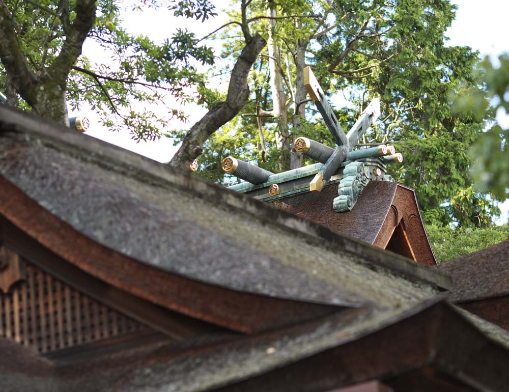 Foto, materiell, befreit, Landschaft, Bild, hat Foto auf Lager,Kompira-san Schrein-Hongu-Dach, Schintoistischer Schrein Buddhistischer Tempel, Der groe bereite Hauptgott, hlzernes Gebude, Schintoismus