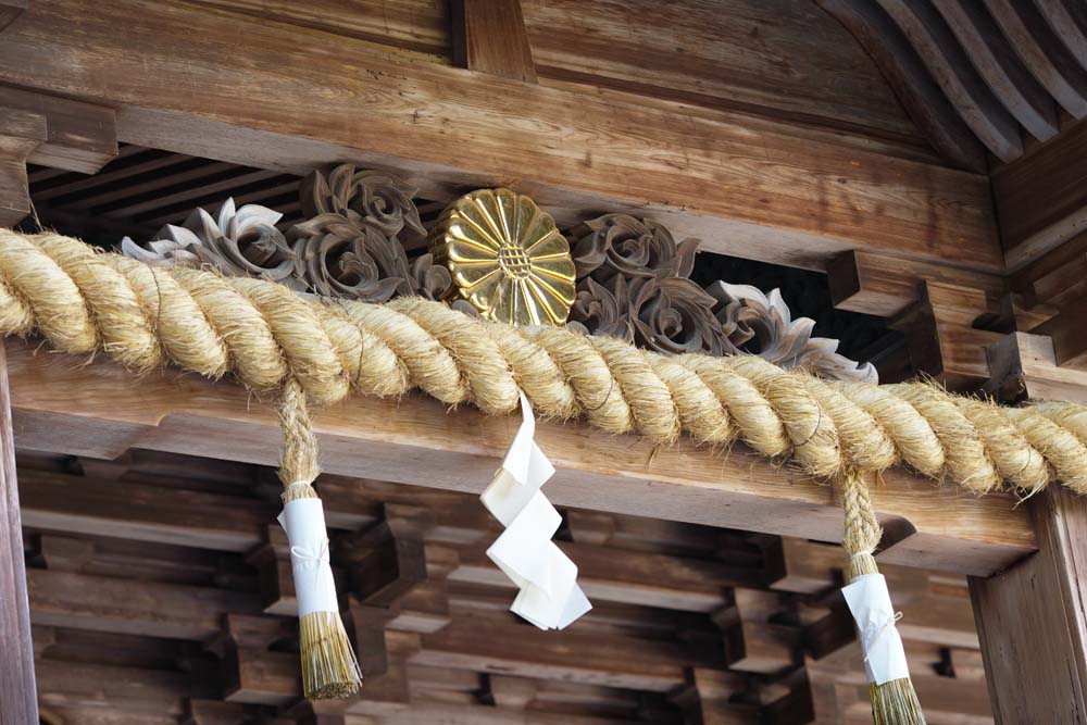 fotografia, materiale, libero il panorama, dipinga, fotografia di scorta,Kompira-san il Sacrario la decorazione di Hongu, Sacrario scintoista tempio buddista, crisantemo, edificio di legno, Scintoismo