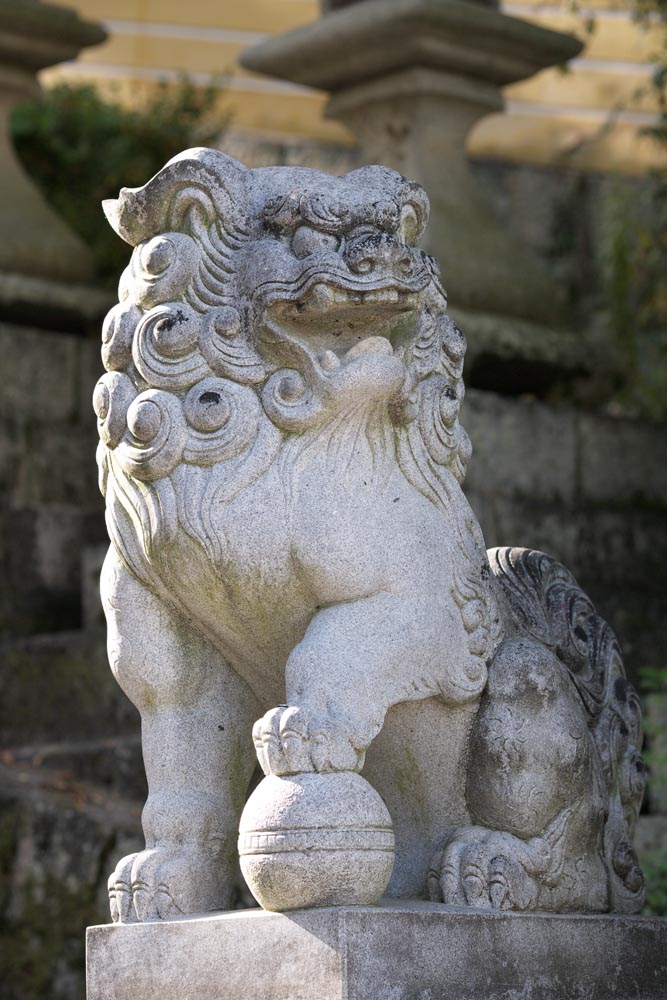 photo,material,free,landscape,picture,stock photo,Creative Commons,Kompira-san Shrine pair of stone guardian dogs, Shinto shrine Buddhist temple, pair of stone guardian dogs, top dog, Shinto