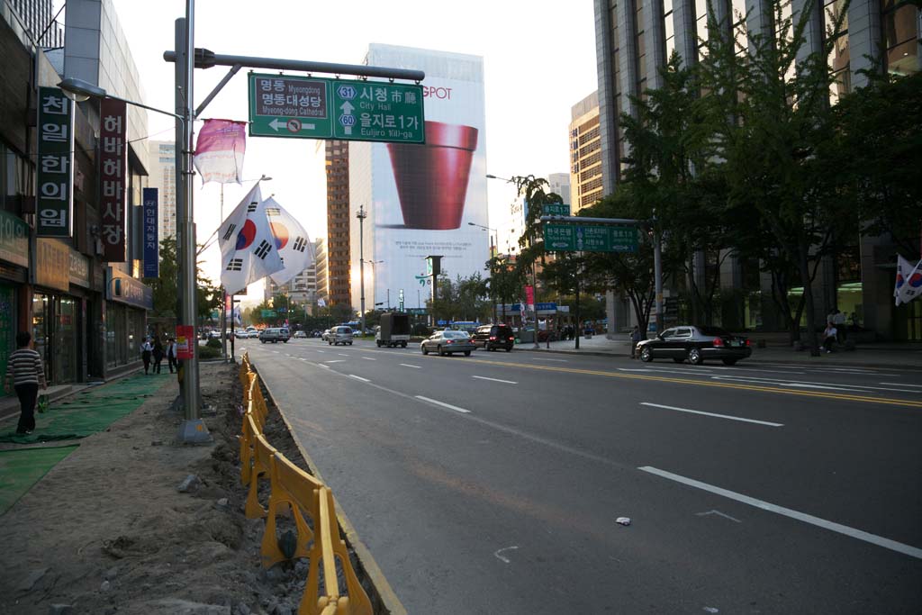 photo,material,free,landscape,picture,stock photo,Creative Commons,Row of houses along a city street of Myondong, traffic sign, Asphalt, wall surface advertisement, Republic of Korea flag