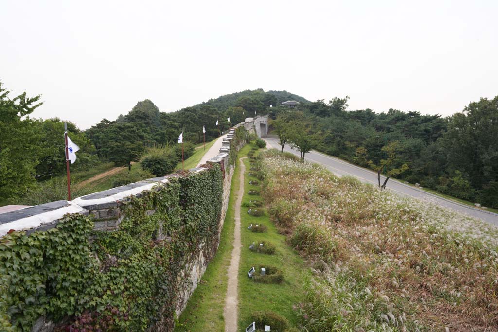 foto,tela,gratis,paisaje,fotografa,idea,La pared de castillo de Hwaseong Fortress, Castillo, Pavimento de piedra, Azulejo, Pared de castillo