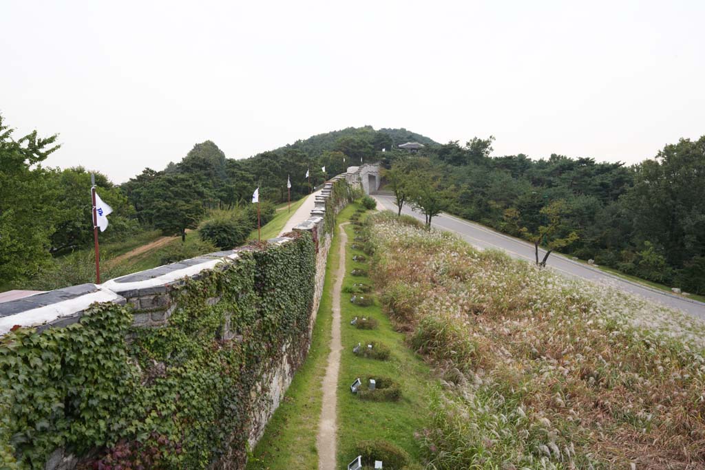 fotografia, material, livra, ajardine, imagine, proveja fotografia,A parede de castelo de Fortaleza de Hwaseong, castelo, apedreje pavimento, azulejo, parede de castelo