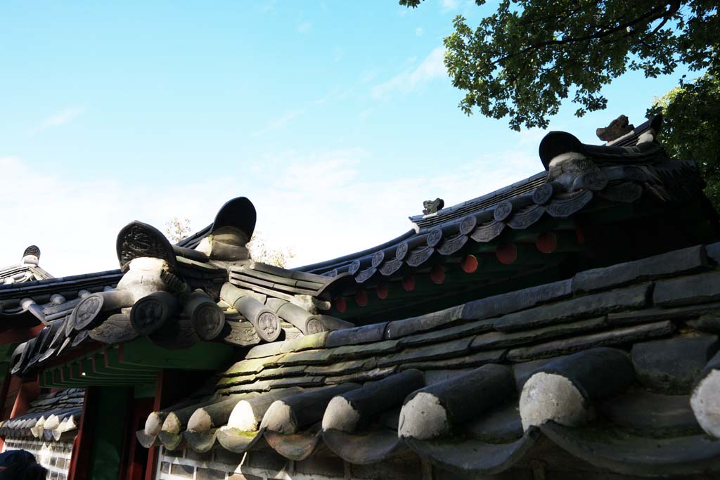 fotografia, materiale, libero il panorama, dipinga, fotografia di scorta,Una tegola di tetto di Sacrario Per Kongmin.Wang, Saiku, il pasto serv ad una stanza di tempio, Vestiti di festa, Servizio religioso