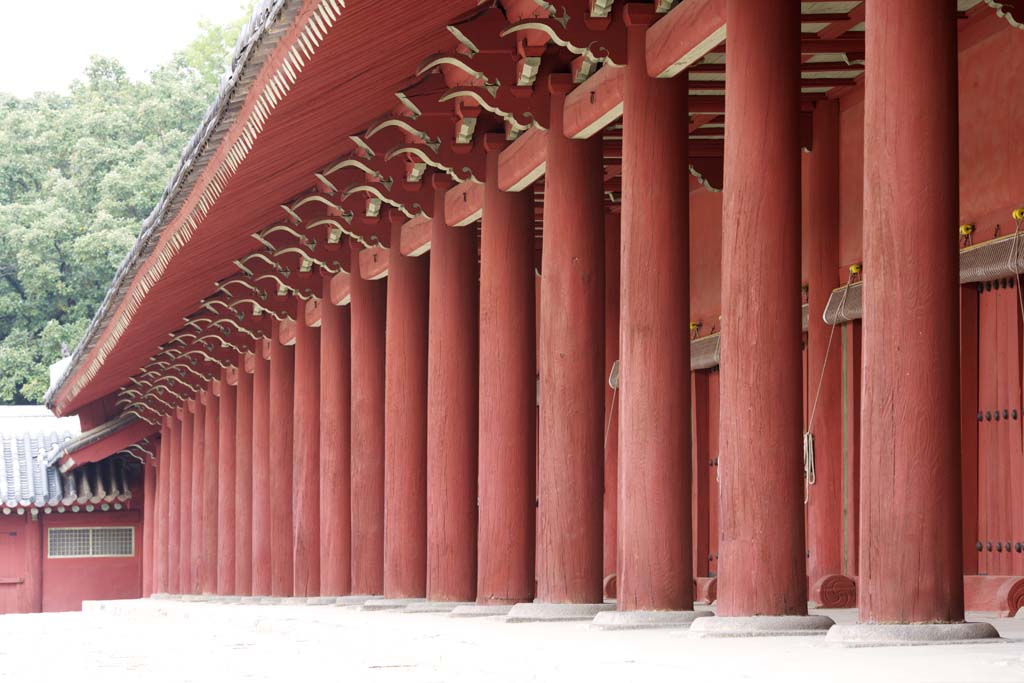 photo,material,free,landscape,picture,stock photo,Creative Commons,The row of pillars of Tadashi, Jongmyo Shrine, Religious service, First Emperor, the Imperial Ancestral Temple 