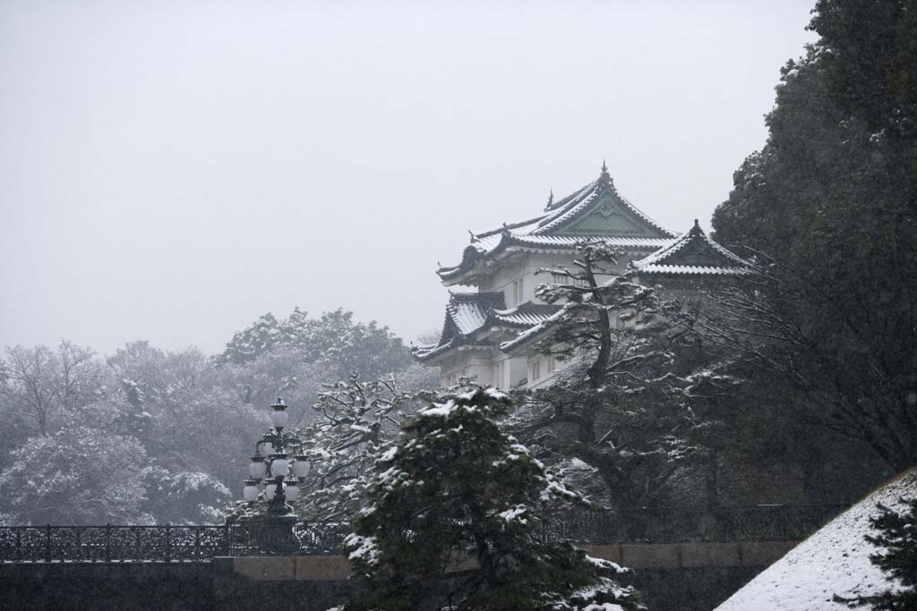 fotografia, materiale, libero il panorama, dipinga, fotografia di scorta,Fushimi neve Derrick, Castello, Palazzo, Balena mortale, Edo arrocca