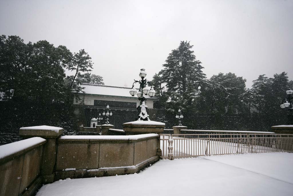 photo, la matire, libre, amnage, dcrivez, photo de la rserve,Double pont de neige, Foss, Palais, Garde imprial, Chute de neige