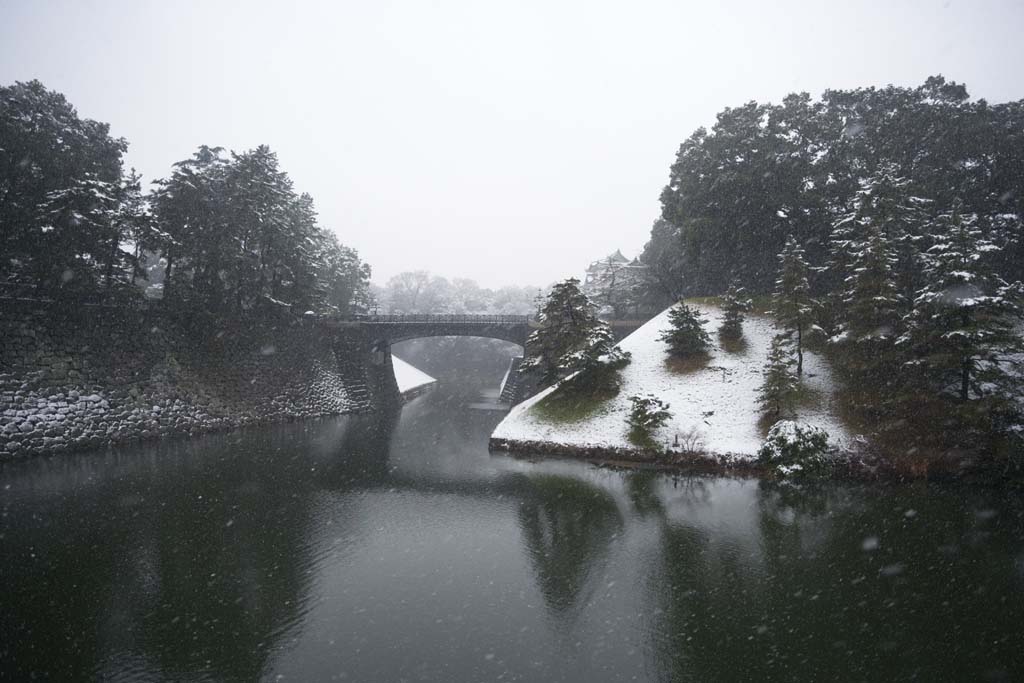 foto,tela,gratis,paisaje,fotografa,idea,puente de nieve, Foso, Palacio, Guardin imperial, Nevada