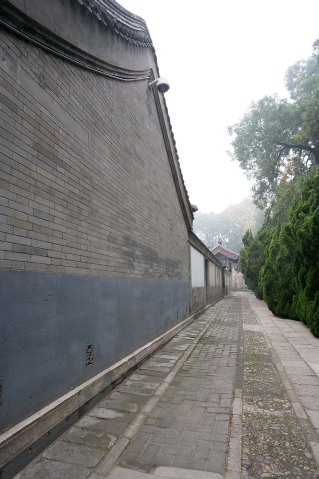 photo,material,free,landscape,picture,stock photo,Creative Commons,Summer Palace in the alley, Japanese cedar, Outer wall, Komichi, Cobblestone