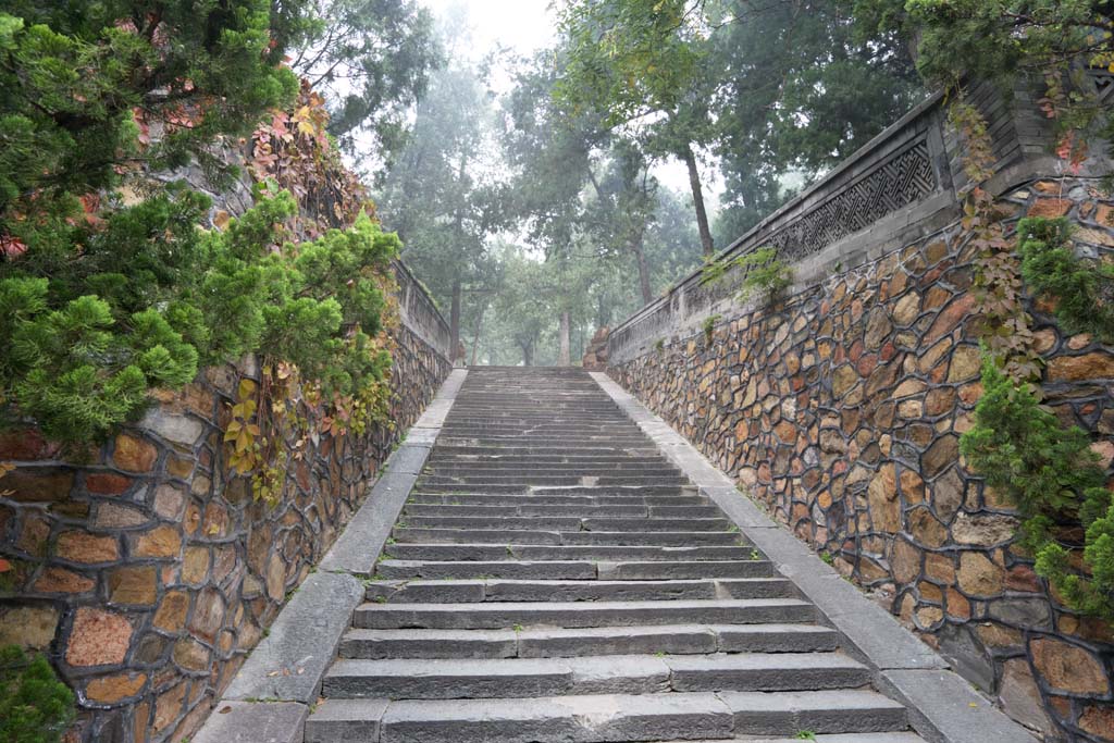 photo,material,free,landscape,picture,stock photo,Creative Commons,Summer Palace stairs, Japanese cedar, Outer wall, Komichi, Cobblestone