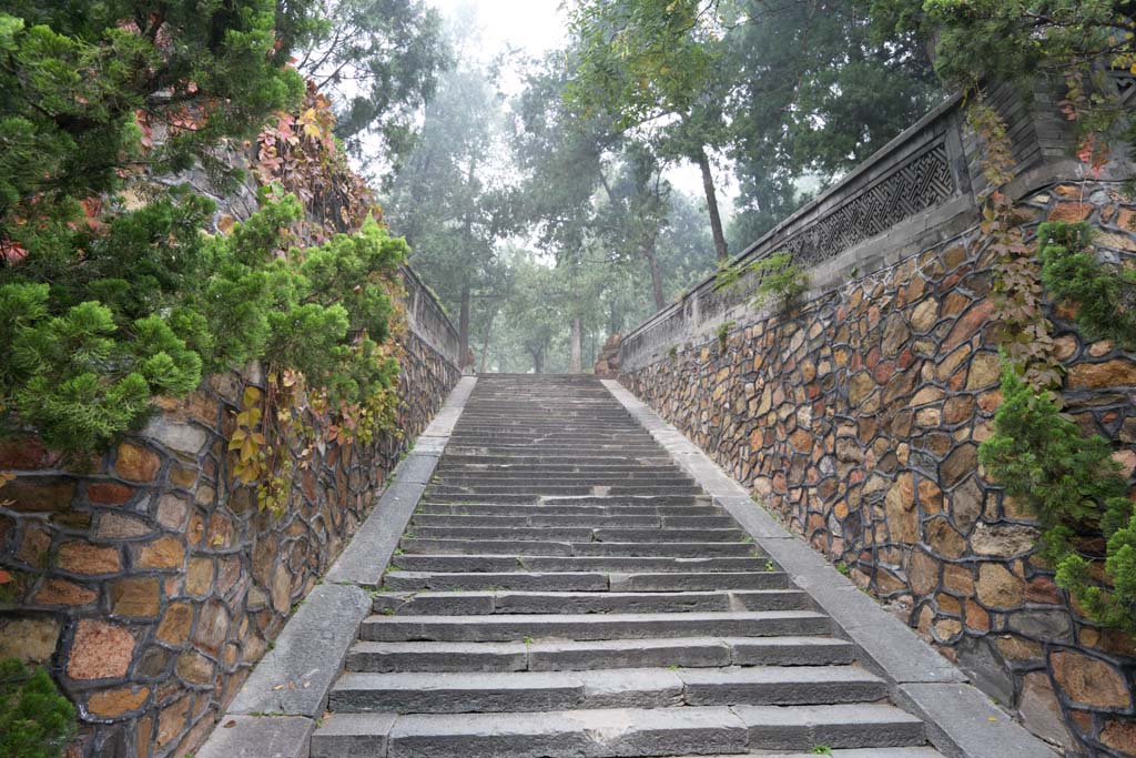 foto,tela,gratis,paisaje,fotografa,idea,Palacio de Verano escaleras, Cedro japons, Pared exterior, Komichi, Adoquinado