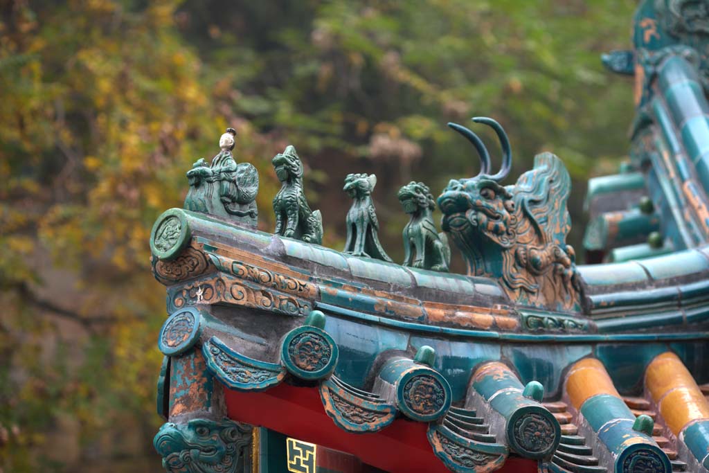 Foto, materiell, befreit, Landschaft, Bild, hat Foto auf Lager,Sommerpalast Reise-Tiere, Dach, Ziegel, Xuanzang, Buddhismus