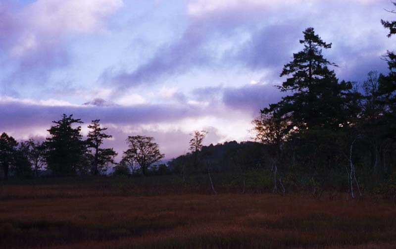 Foto, materiell, befreit, Landschaft, Bild, hat Foto auf Lager,Morgenfarbe, Himmel, Baum, Berg, Wolke