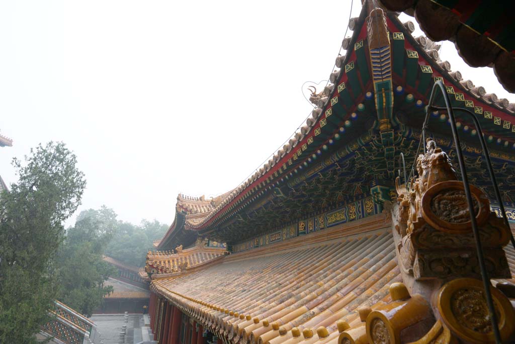 photo,material,free,landscape,picture,stock photo,Creative Commons,Summer Palace cloud of exhaust buttocks, Roof, Tile, Architecture, World Heritage