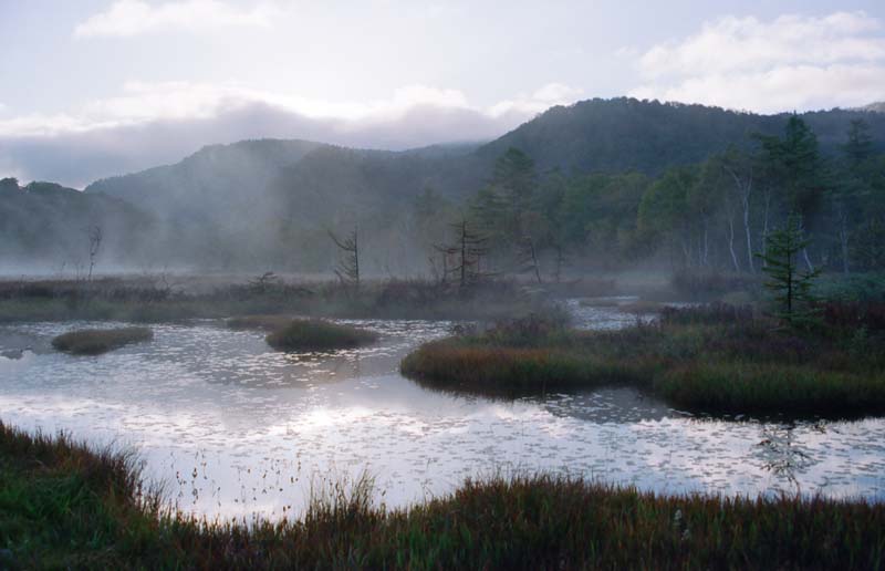 photo,material,free,landscape,picture,stock photo,Creative Commons,Morning mist, pond, tree, mountain, fog